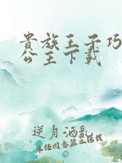 贵族王子巧遇穷公主下载