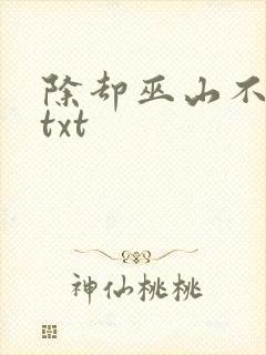 除却巫山不是云txt