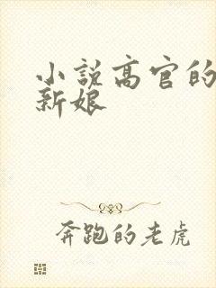 小说高官的暗夜新娘