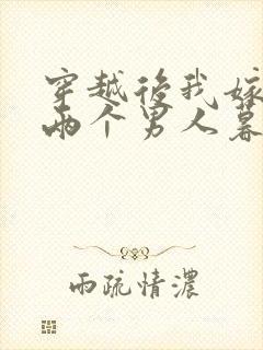 穿越后我嫁给了两个男人暮色酒歌