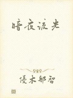 暗夜流光