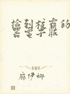 捡到校霸的遥控器电子版