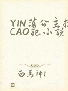 YIN荡公主挨CAO记小说