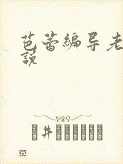 芭蕾编导老师小说