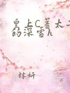皇上C着太子妃的深处h