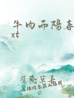 牛肉面阳春面txt