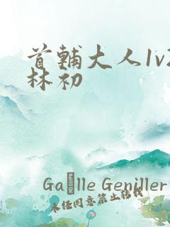 首辅大人1v2林初