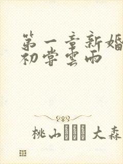 第一章新婚少妇初尝云雨