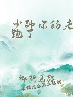 少帅你的老婆又跑了