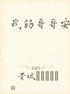 我的哥哥安小天