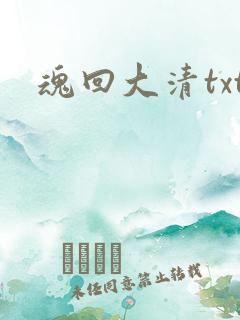 魂回大清txt