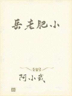 岳老肥小
