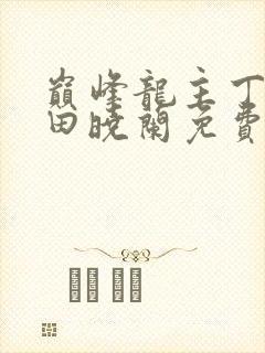 巅峰龙主丁长顺田晓兰免费阅读