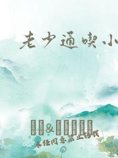 老少通吃小说