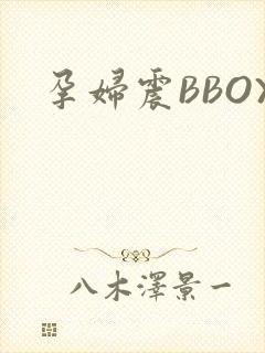孕妇震BBOX