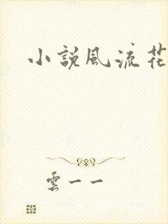 小说风流花少
