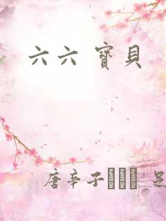 六六 宝贝