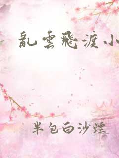 乱云飞渡小说