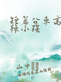 短篇公车高h肉辣小强