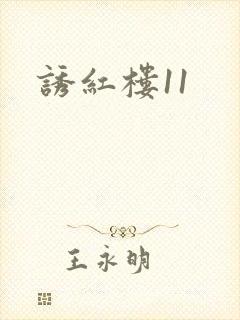 诱红楼11
