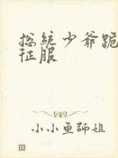 总统少爷跪地唱征服