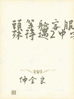 头等舱客服的特殊待遇2中字