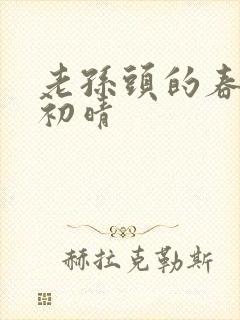 老孙头的春天林初晴