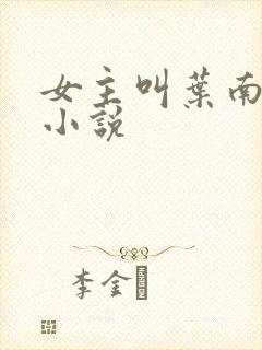 女主叫叶南初的小说