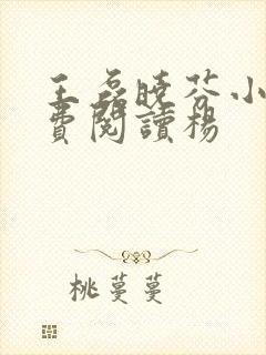 王磊晓芬小说免费阅读杨