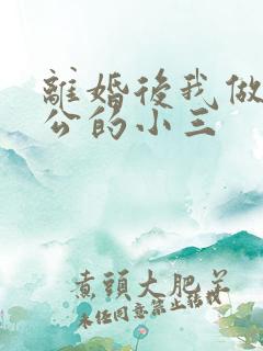 离婚后我做了老公的小三