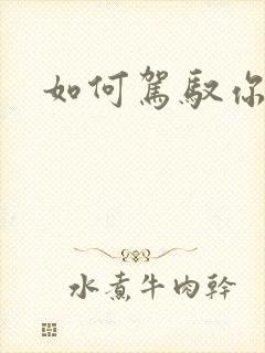 如何驾驭你的龙