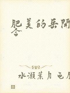 肥美的岳开始配合