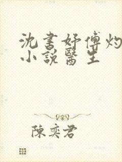 沈书妤傅灼抖音小说医生