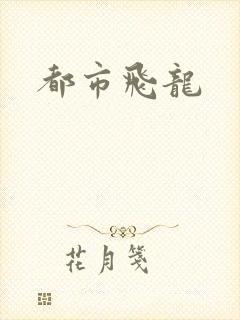 都市飞龙