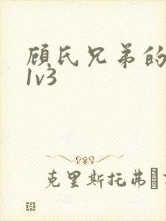 顾氏兄弟的南宁1v3