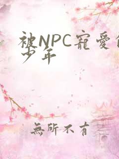 被NPC宠爱的少年