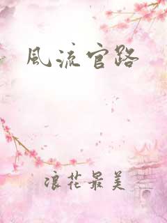 风流官路