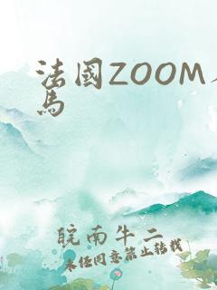 法国ZOOM人马