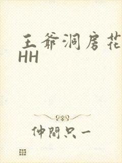 王爷洞房花烛夜HH