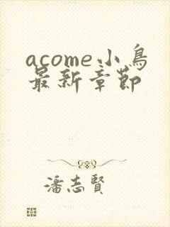 acome小鸟最新章节