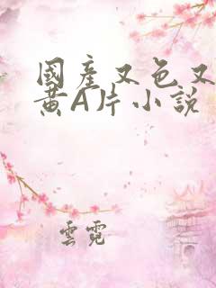 国产又色又爽又黄A片小说