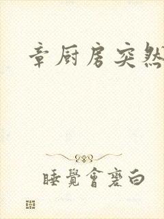 章厨房突然挺入