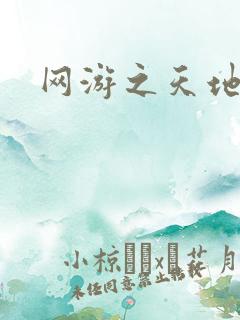 网游之天地下载