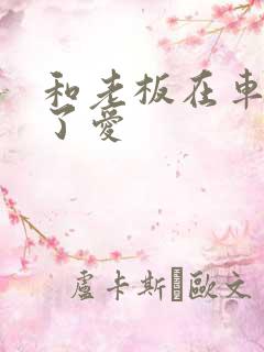 和老板在车里做了爱