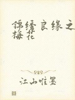 锦绣良缘之驿寄梅花