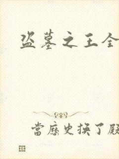 盗墓之王全集