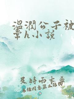 温润公子被脔日常h小说