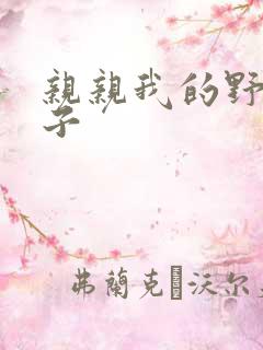 亲亲我的野猪王子