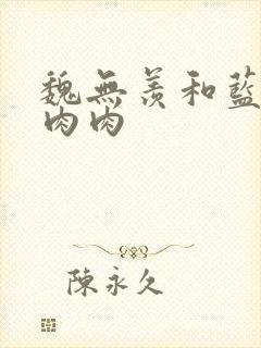 魏无羡和蓝忘机肉肉