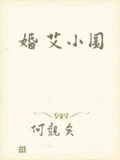 婚 艾小图
